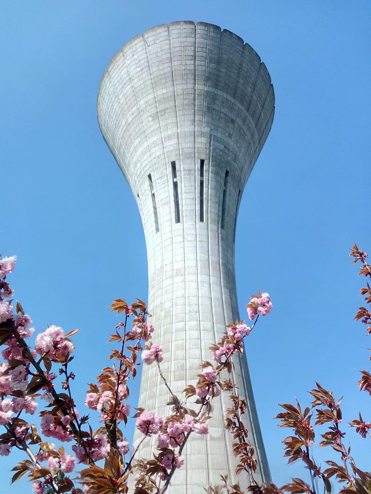 SONCHAMP PRINTEMPS.jpg