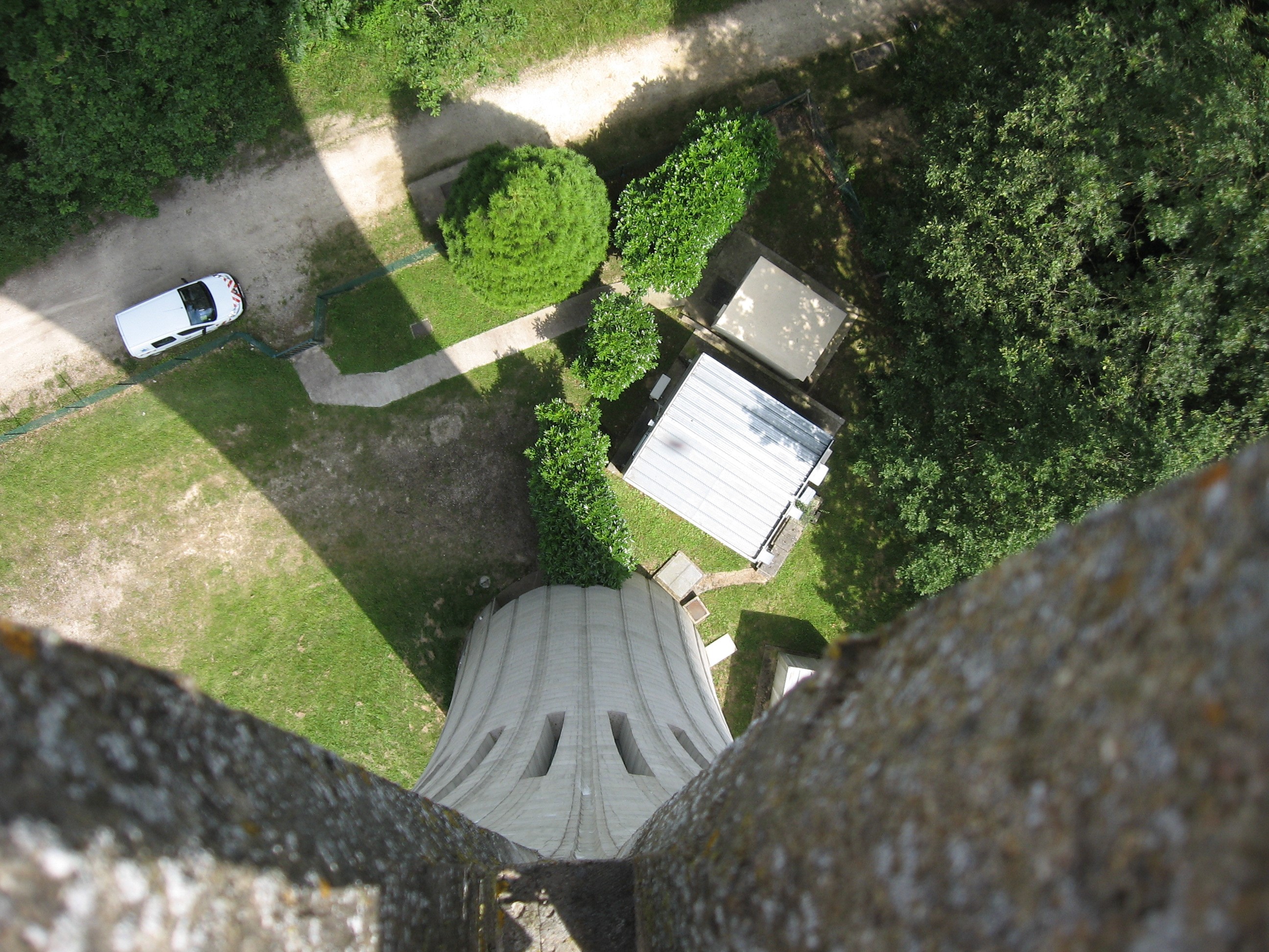 ce coin du bois 7.jpg