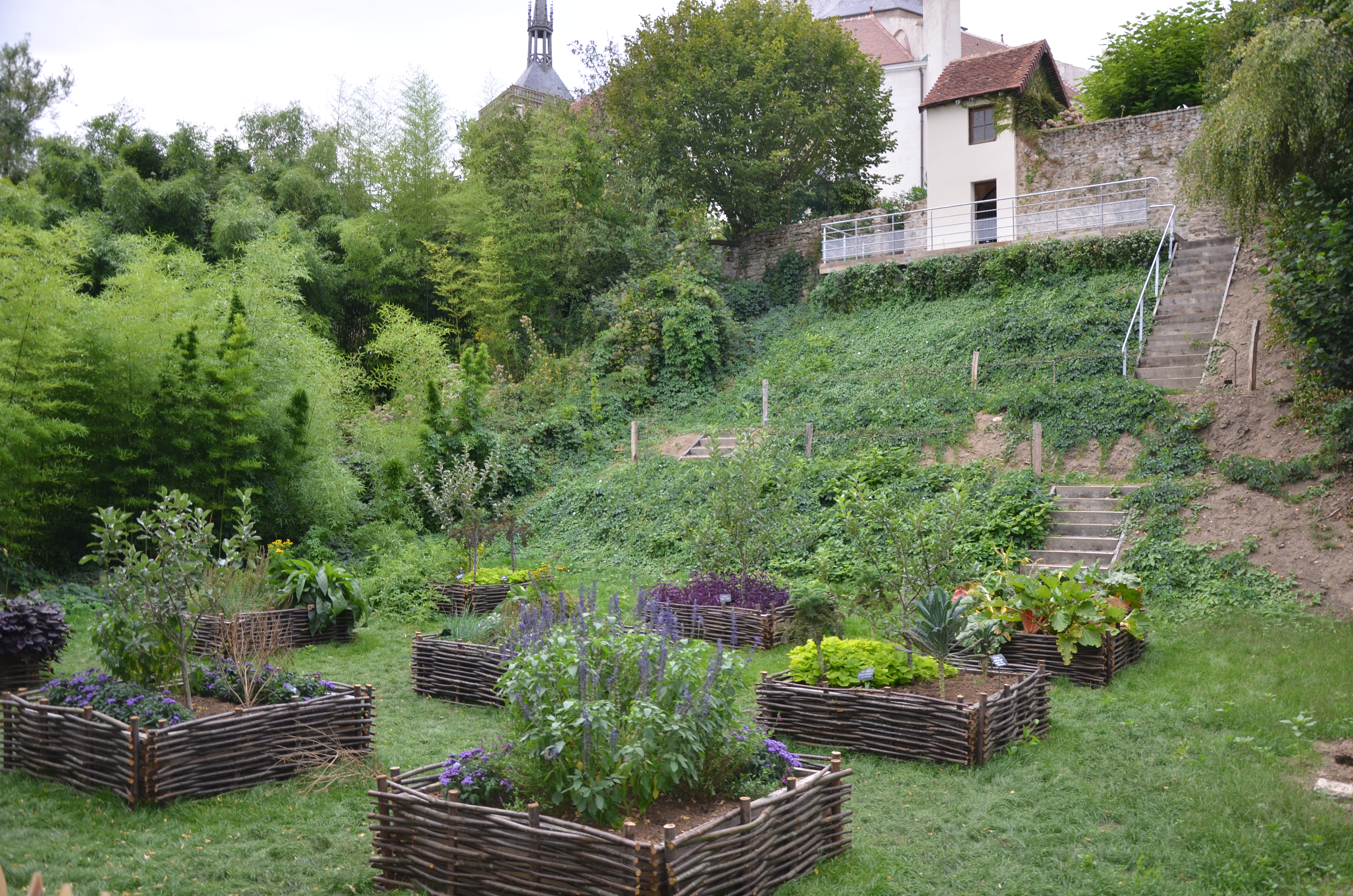 jardin-medieval.JPG