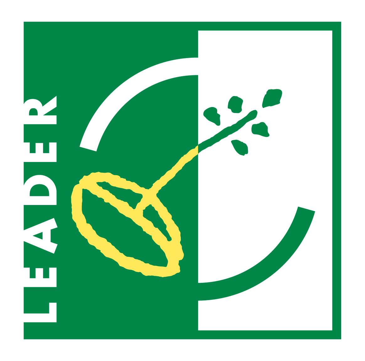 Programme Leader