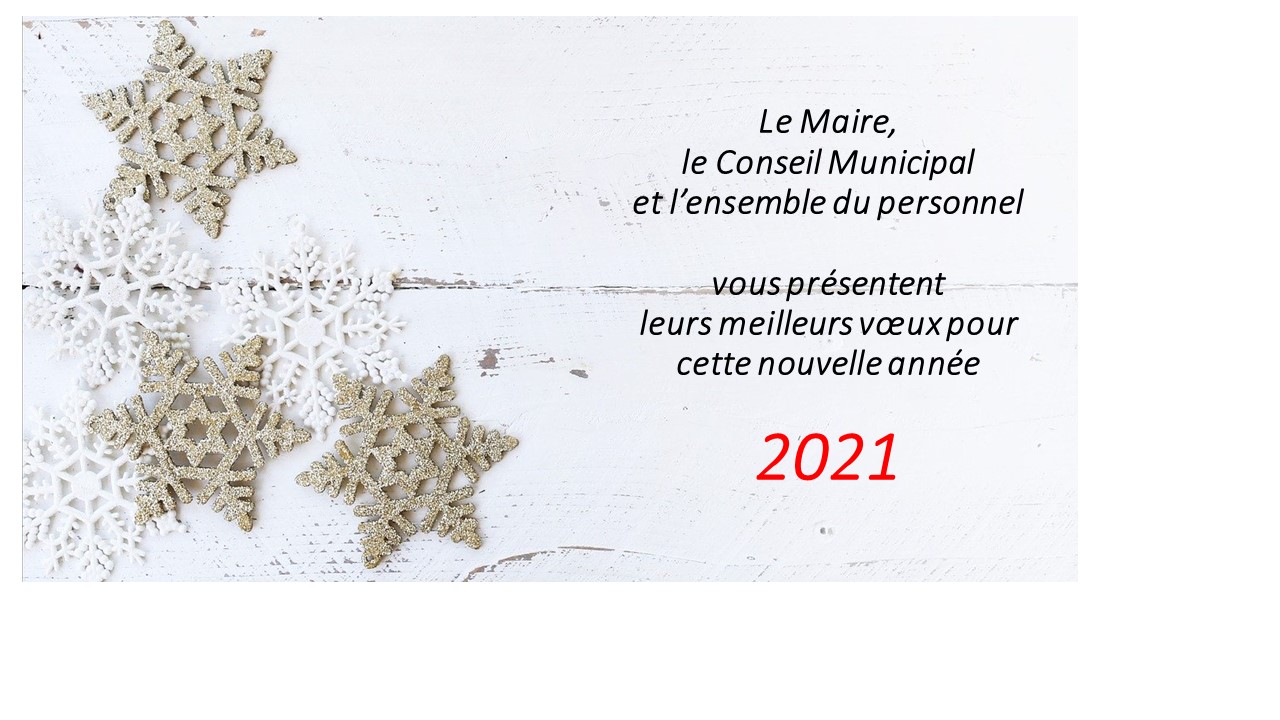 Voeux.jpg
