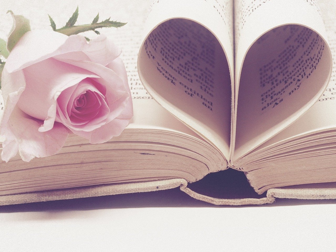 Livre coeur et rose.jpg