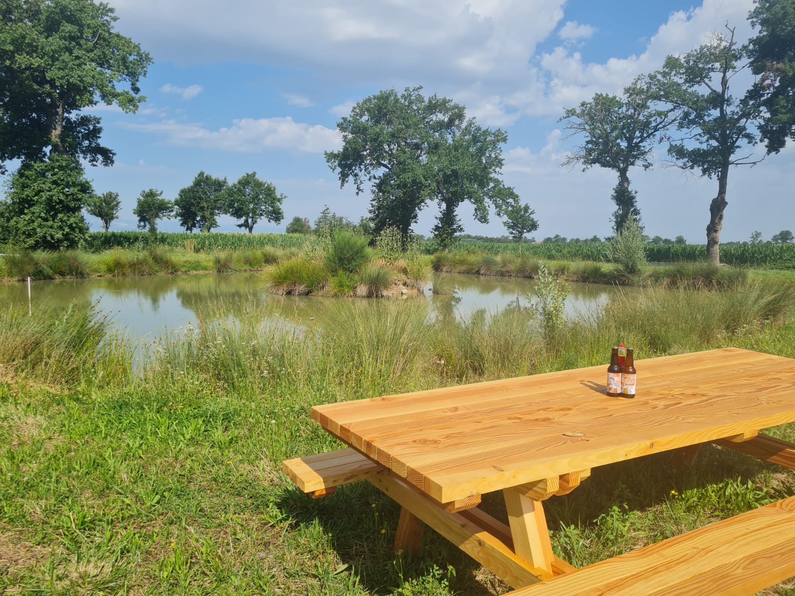 gîte la ferme des délices étang.jpg
