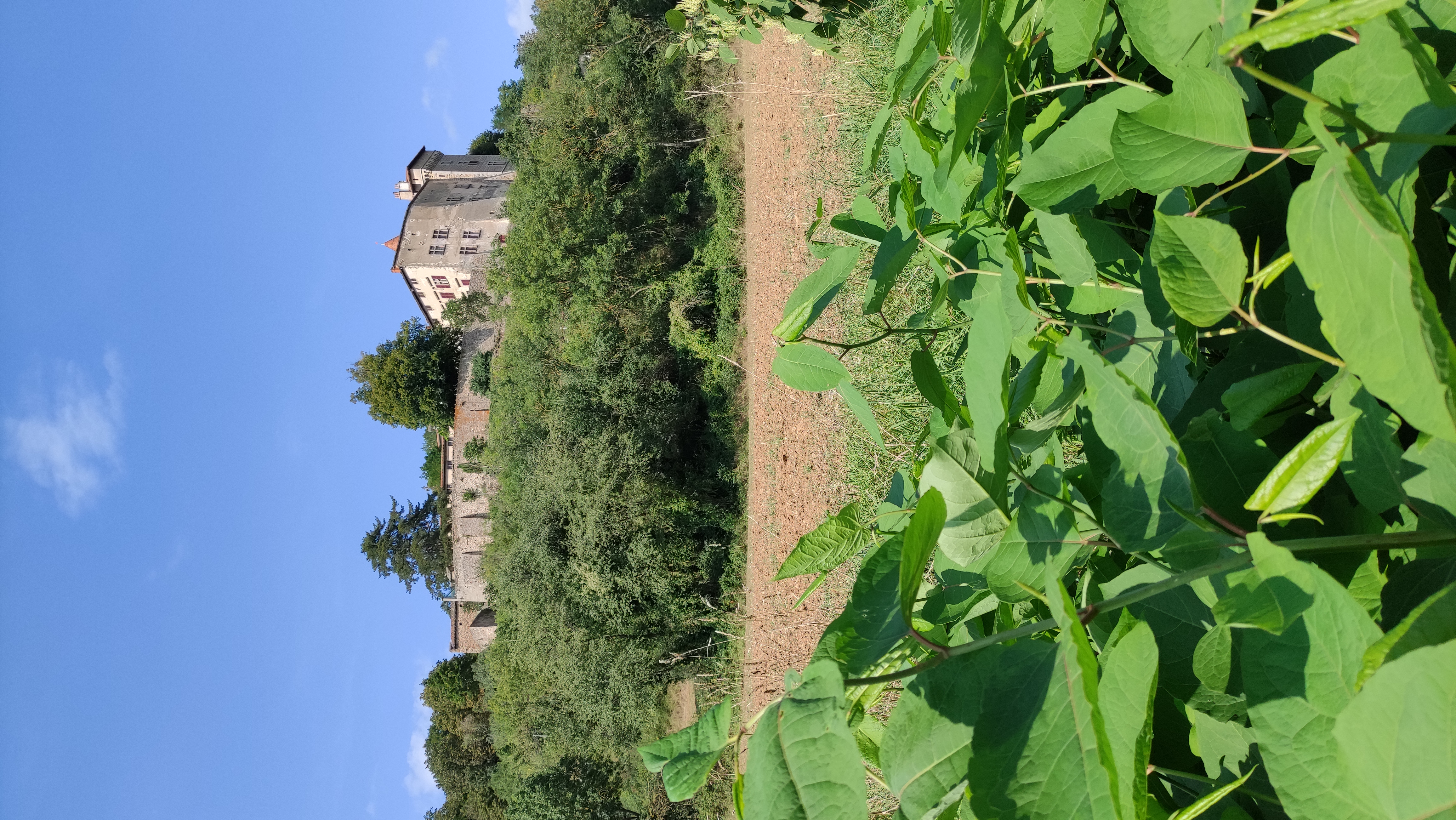 chateau vue sentier.jpg