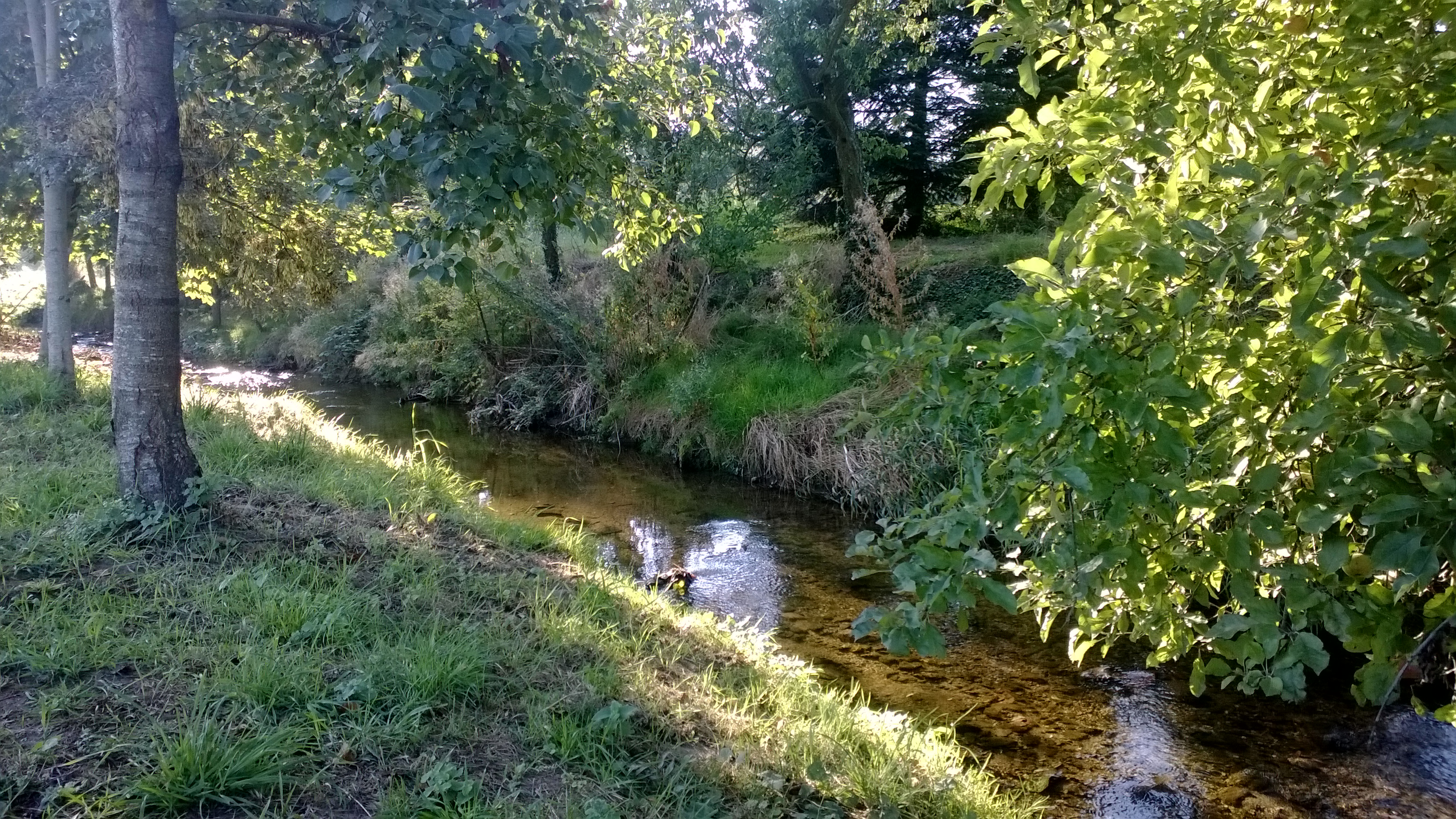 La rivière Anzieux