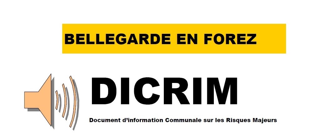 DICRIM 2.jpg