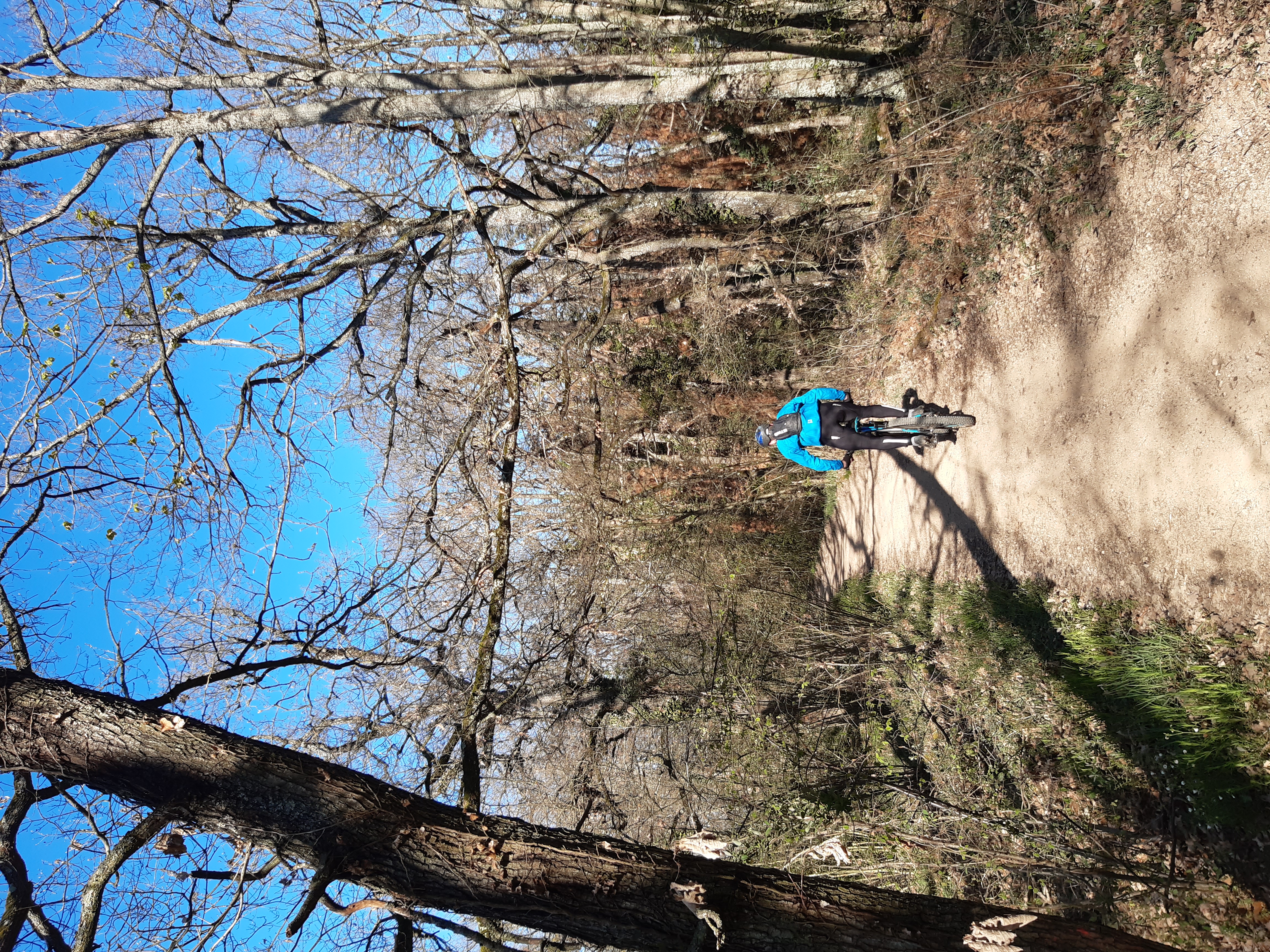CHEMIN VTT LE PLAT