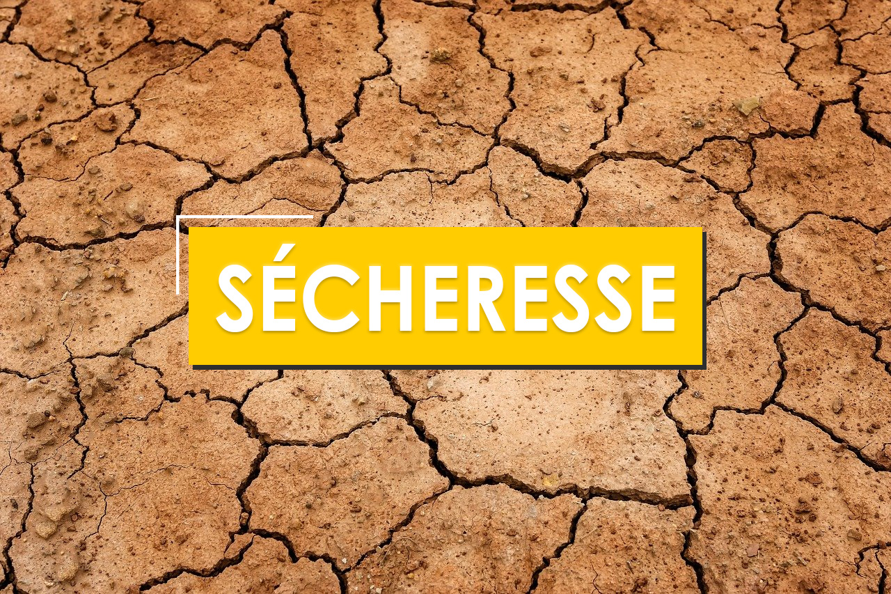 Sécheresse