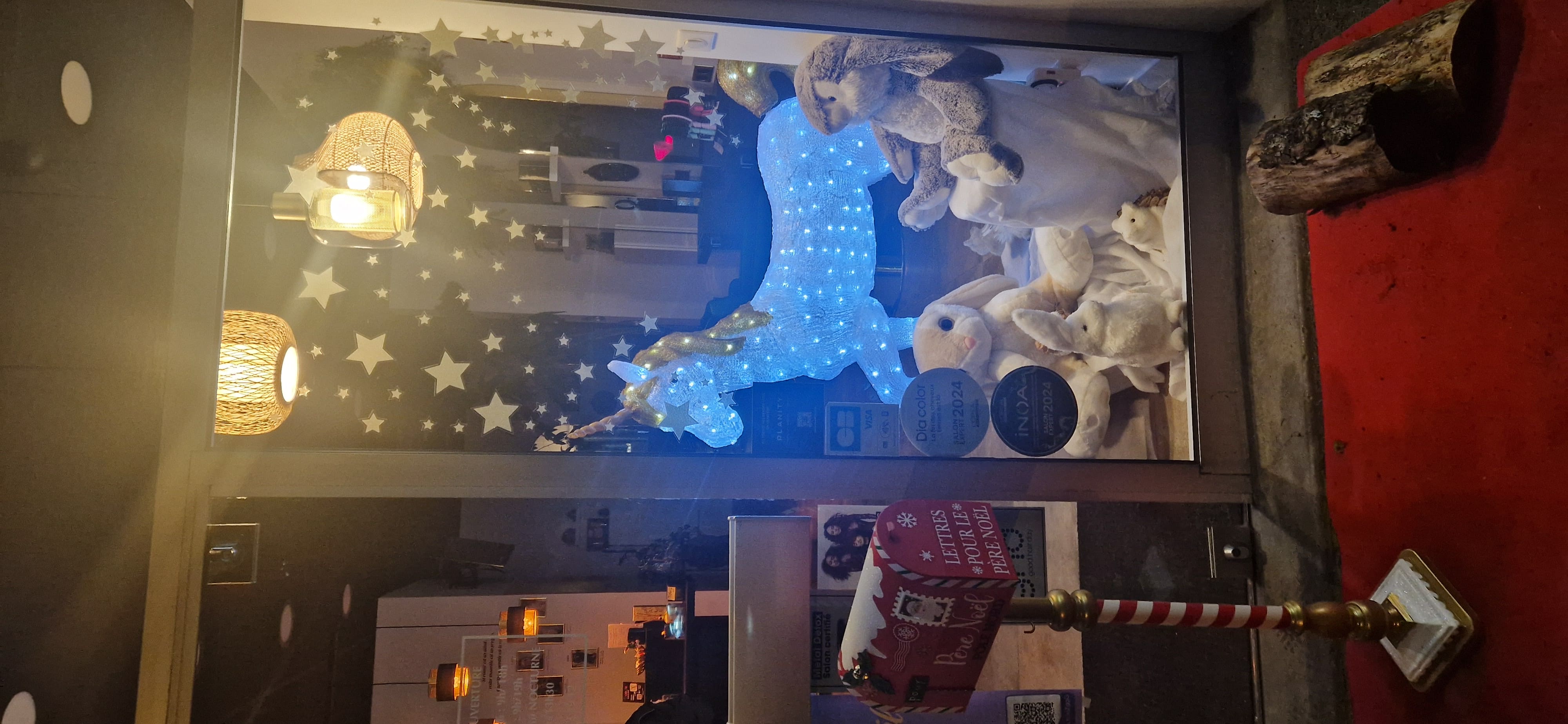 Concours de la Plus Belle Vitrine de Noël - vainqueur 2024/2025 - Comptoir de l'Art