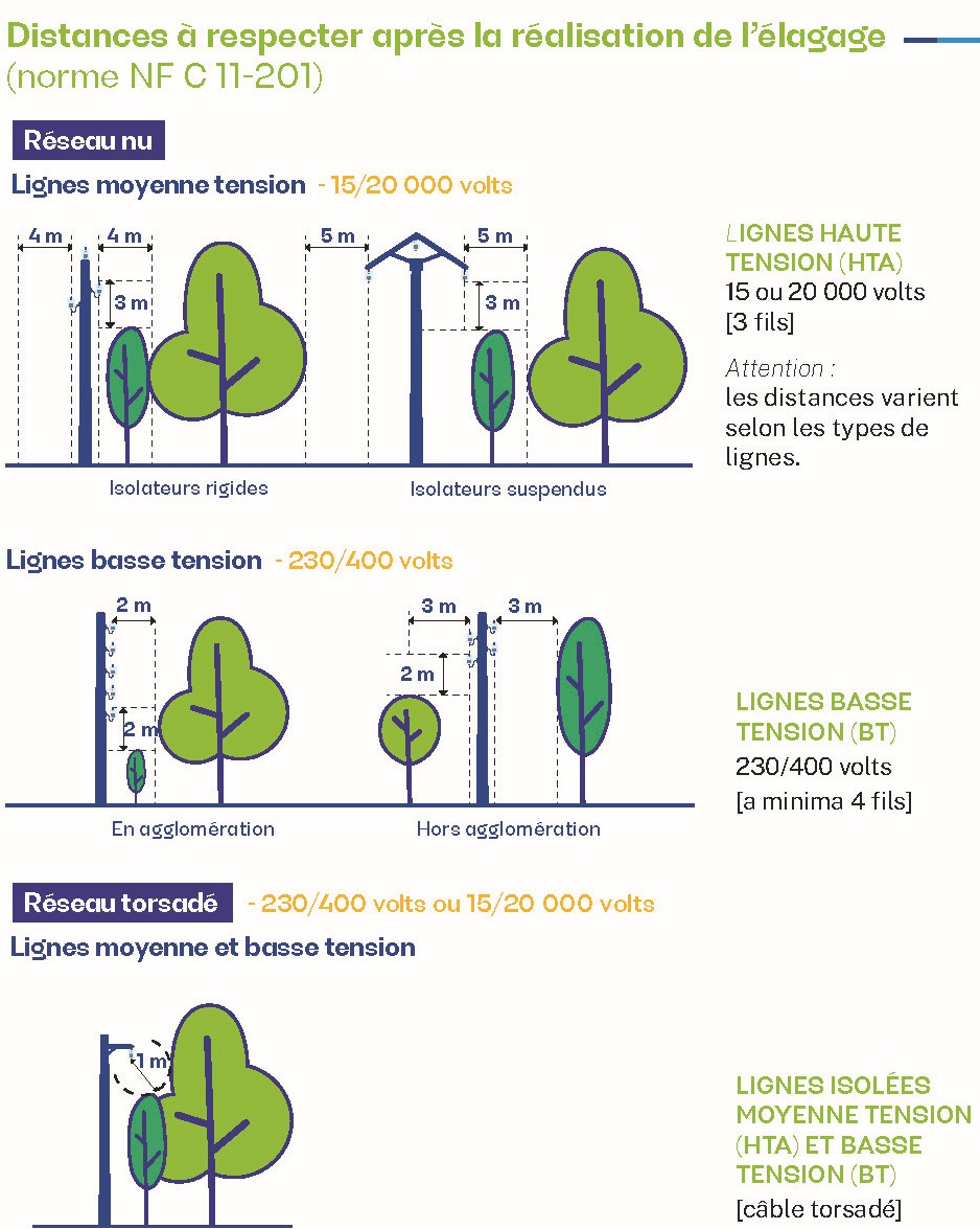 Enedis_arbres_ligneselectriques.jpg