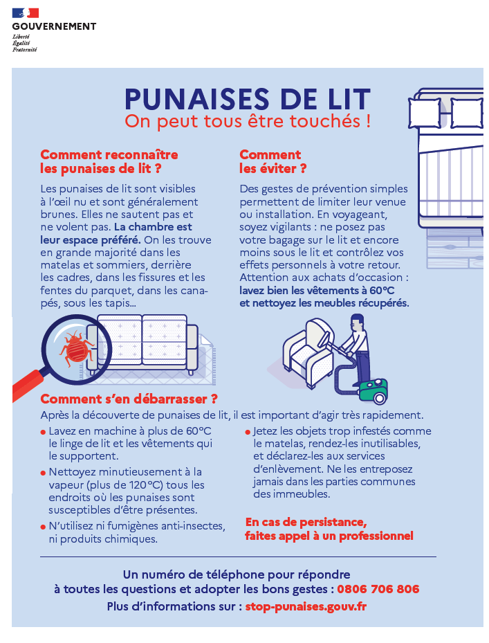 punaises-lit-flyer.png