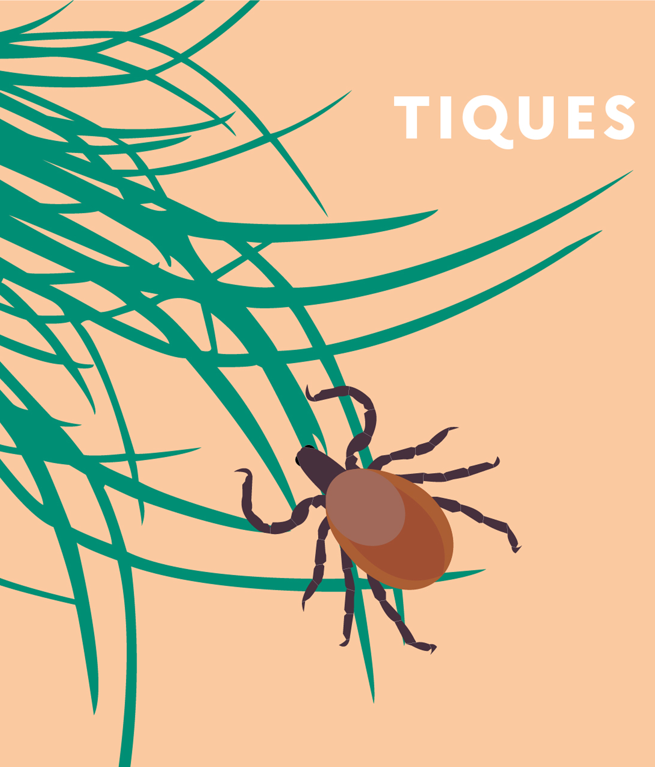 tiquears.jpg