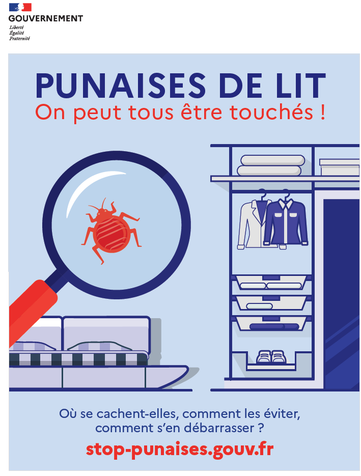 punaises-lit.png