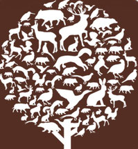 Logo-ACCA.jpg