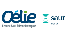 Logo Oélie couleur 230x130_0.png