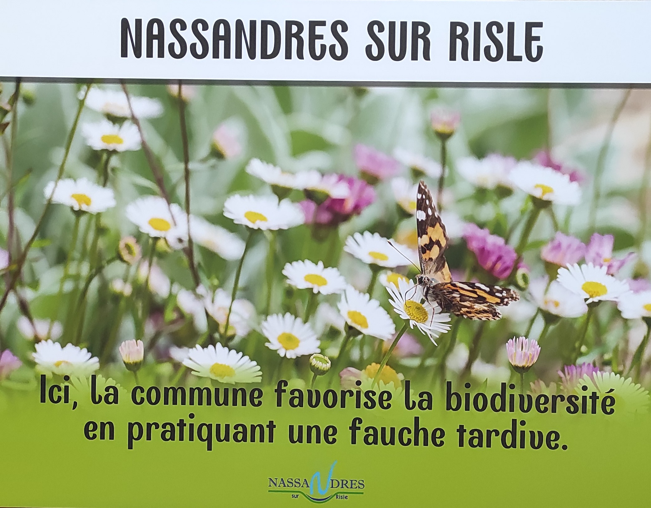 20-biodiversité.jpg