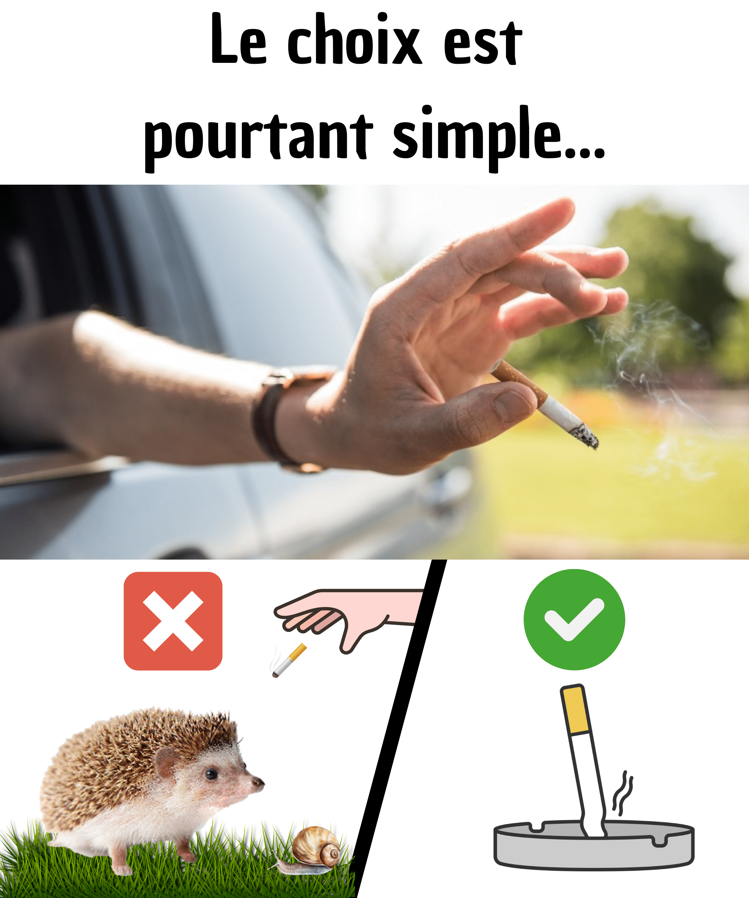 Le choix est simple.png