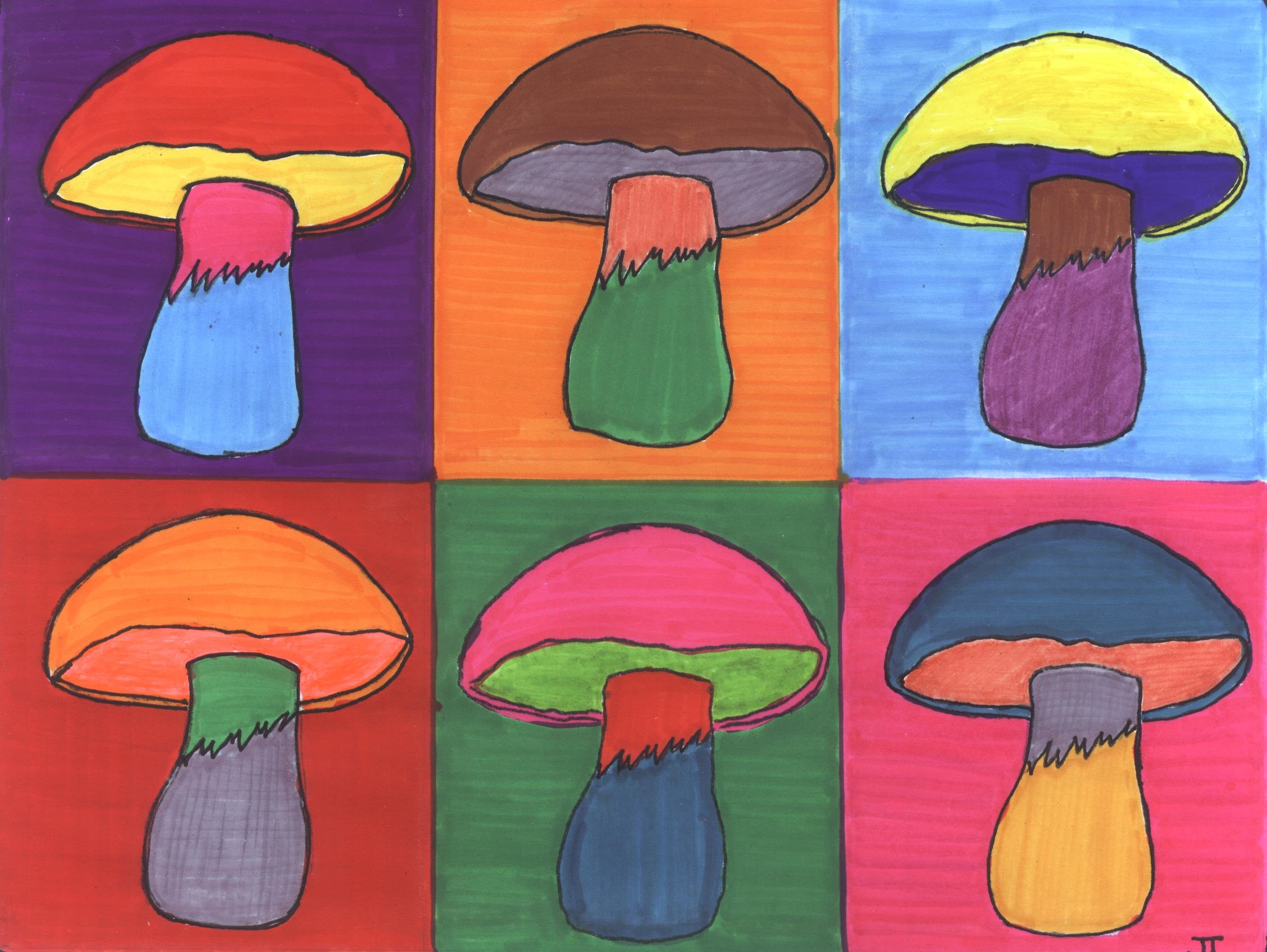 Champignons couleurs.jpg