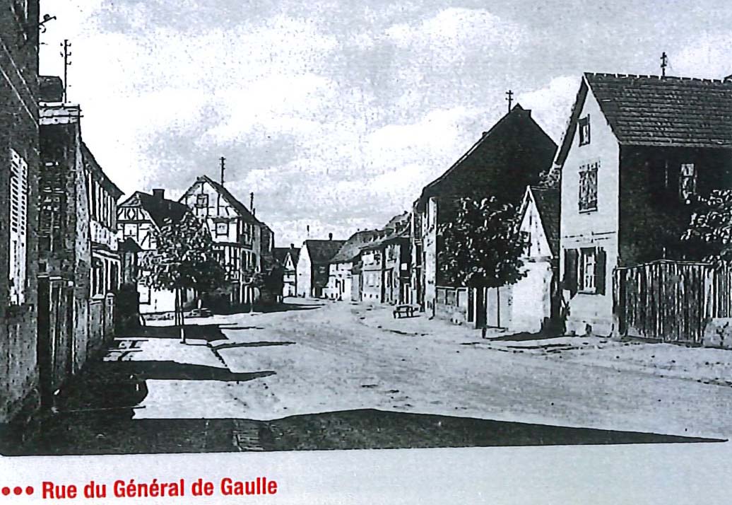 1900_10.jpg