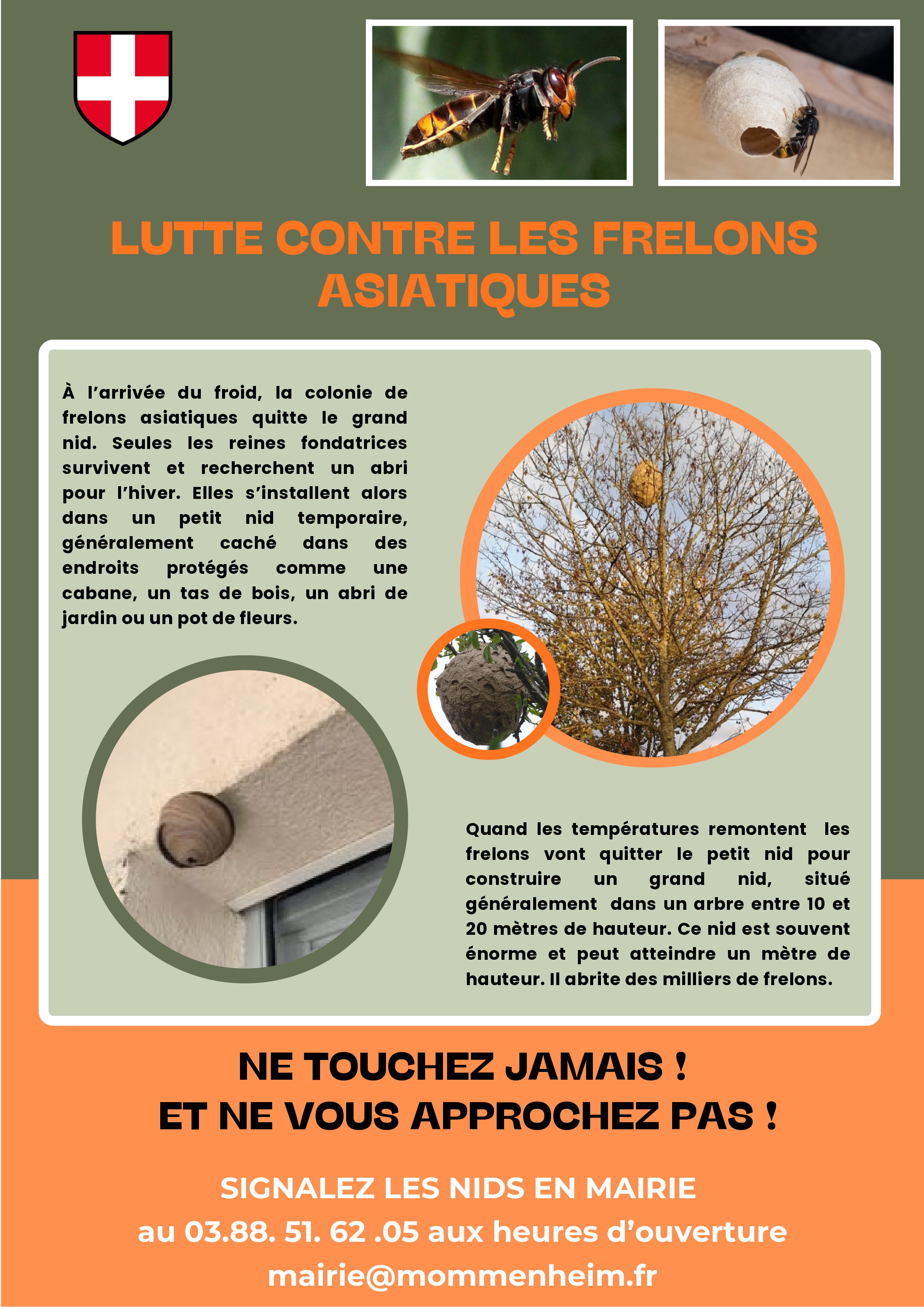 Lutte contre les Frelons asiatiques_page-0001.jpg