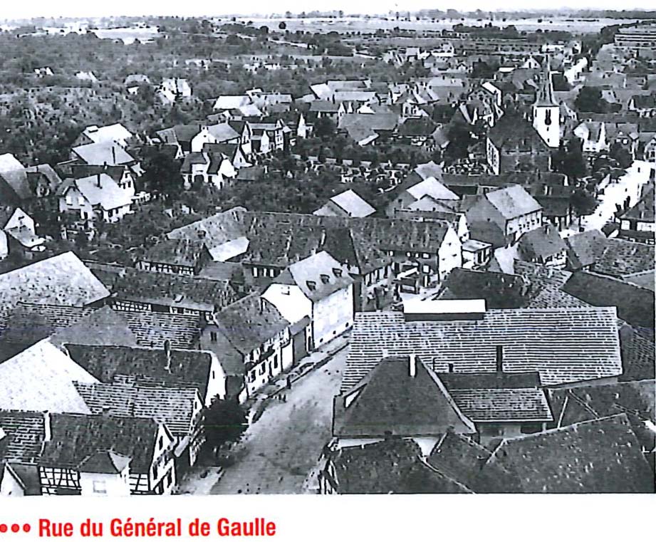 1900_5.jpg
