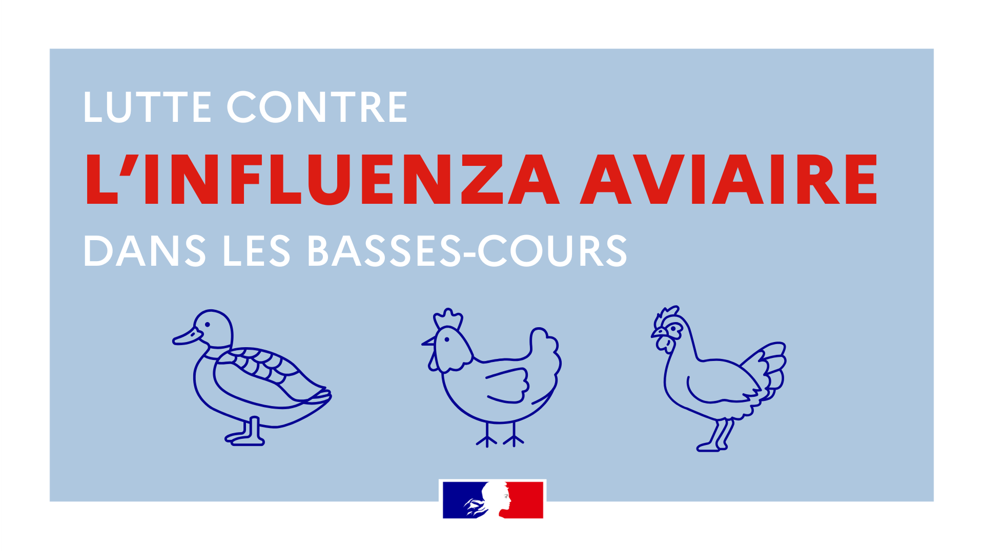 Influenza-aviaire-2024-2025.png