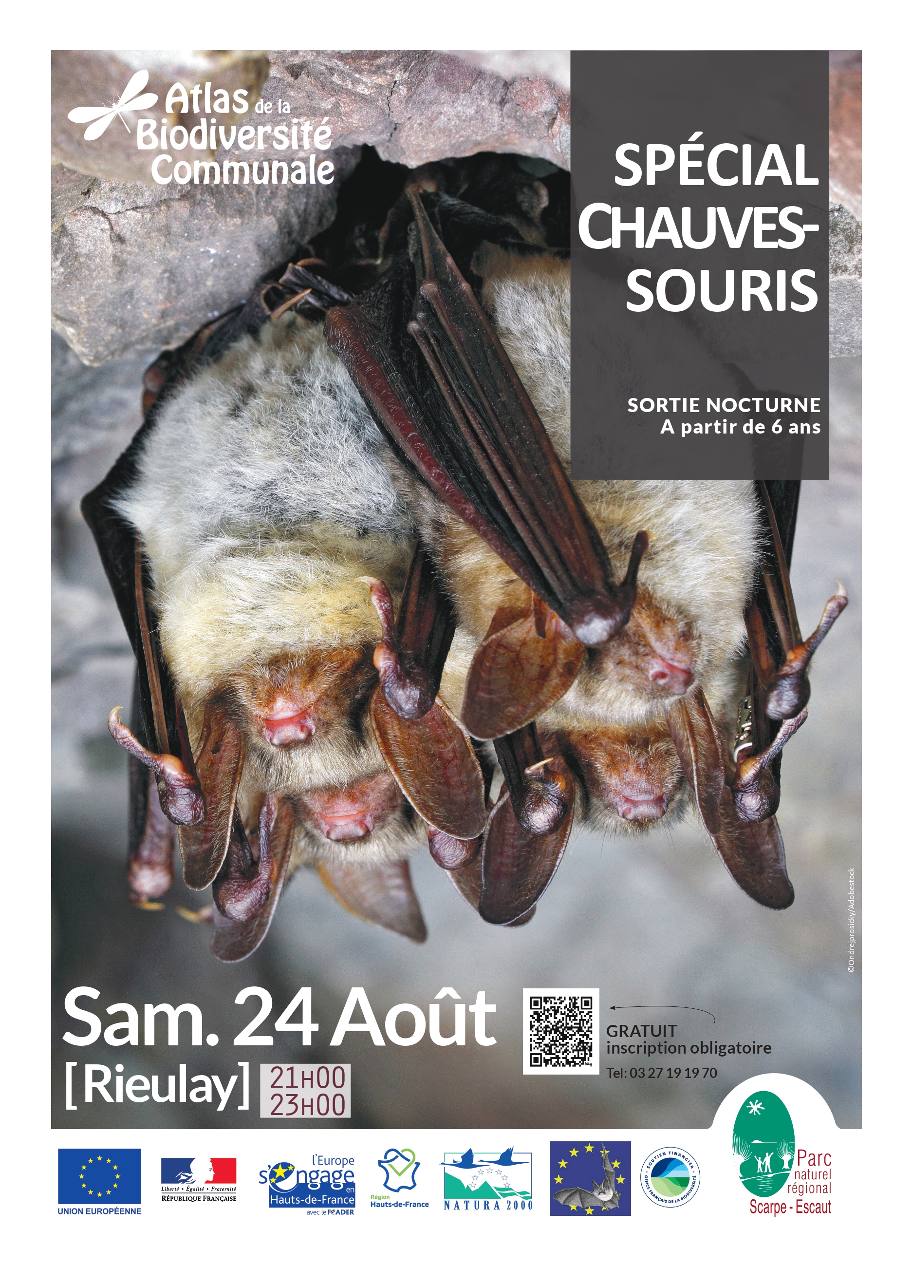 20240824_ABC_SORTIE_CHAUVES_SOURIS_A3_page-0001.jpg