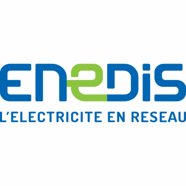 ENEDIS logo.png
