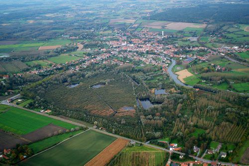 Tourbière.jpg