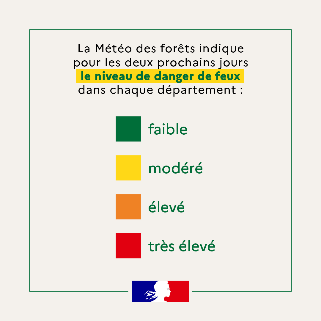 1080x1080-Meteo des forets-2.jpg