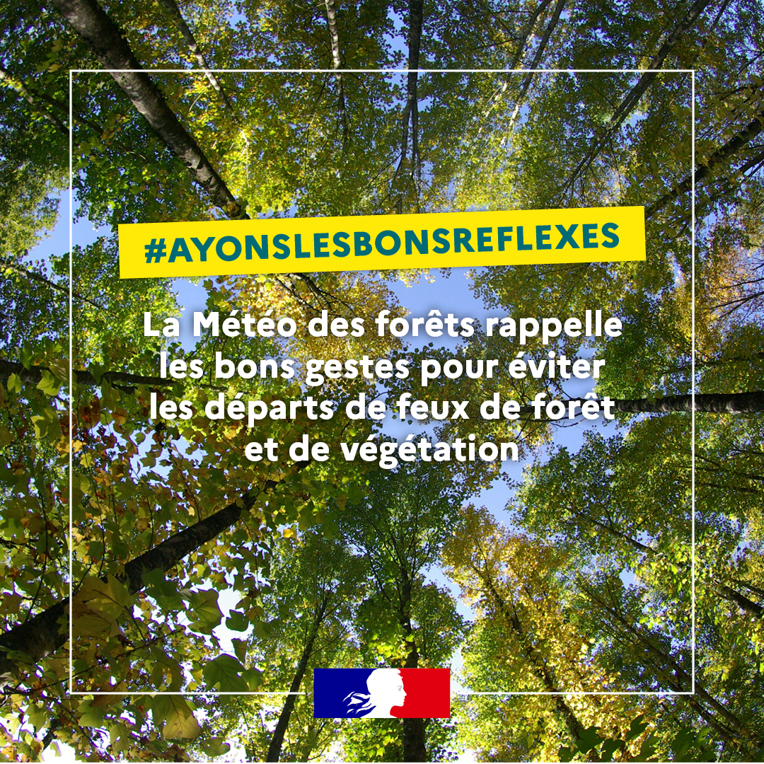 1080x1080-Meteo des forets-3.jpg