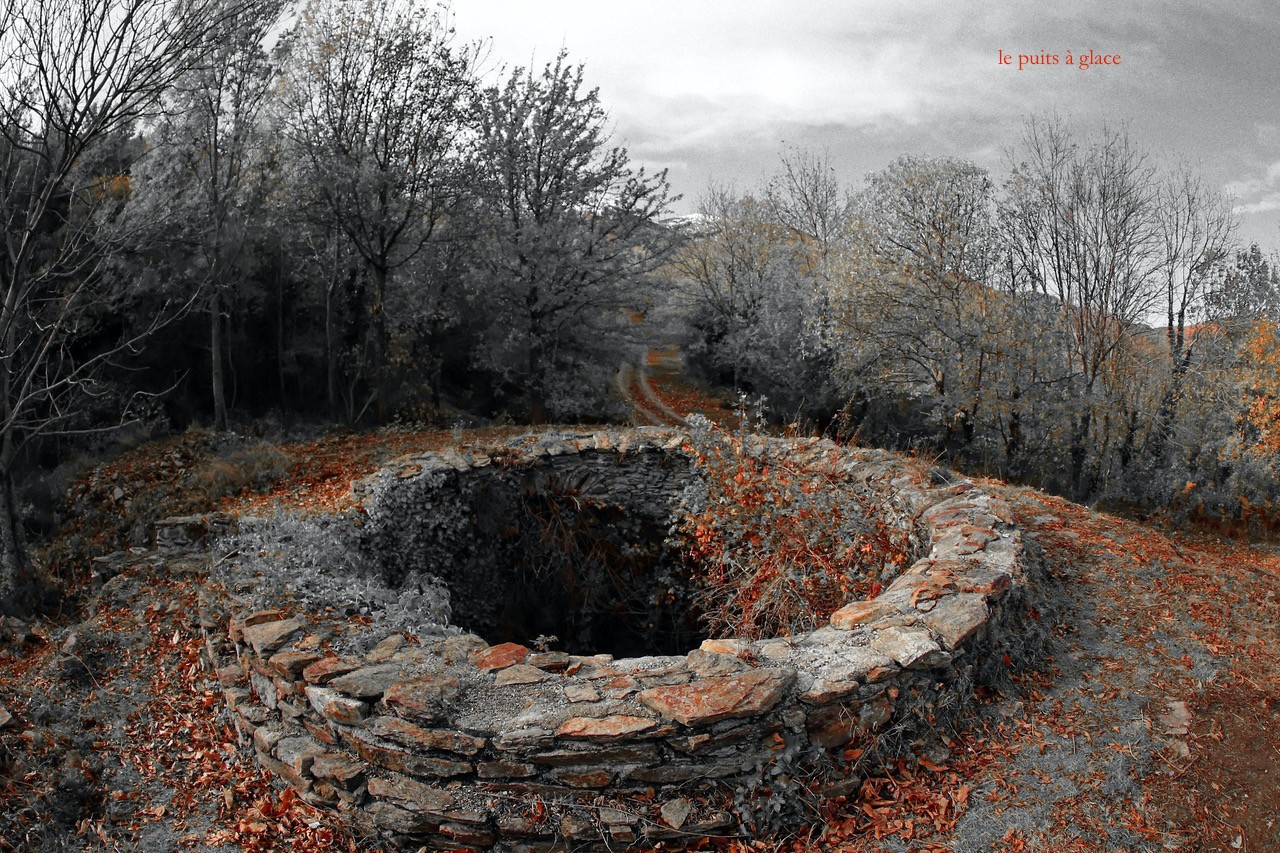 Automne_puits