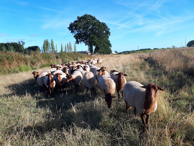 ferme_gros_chene.jpg