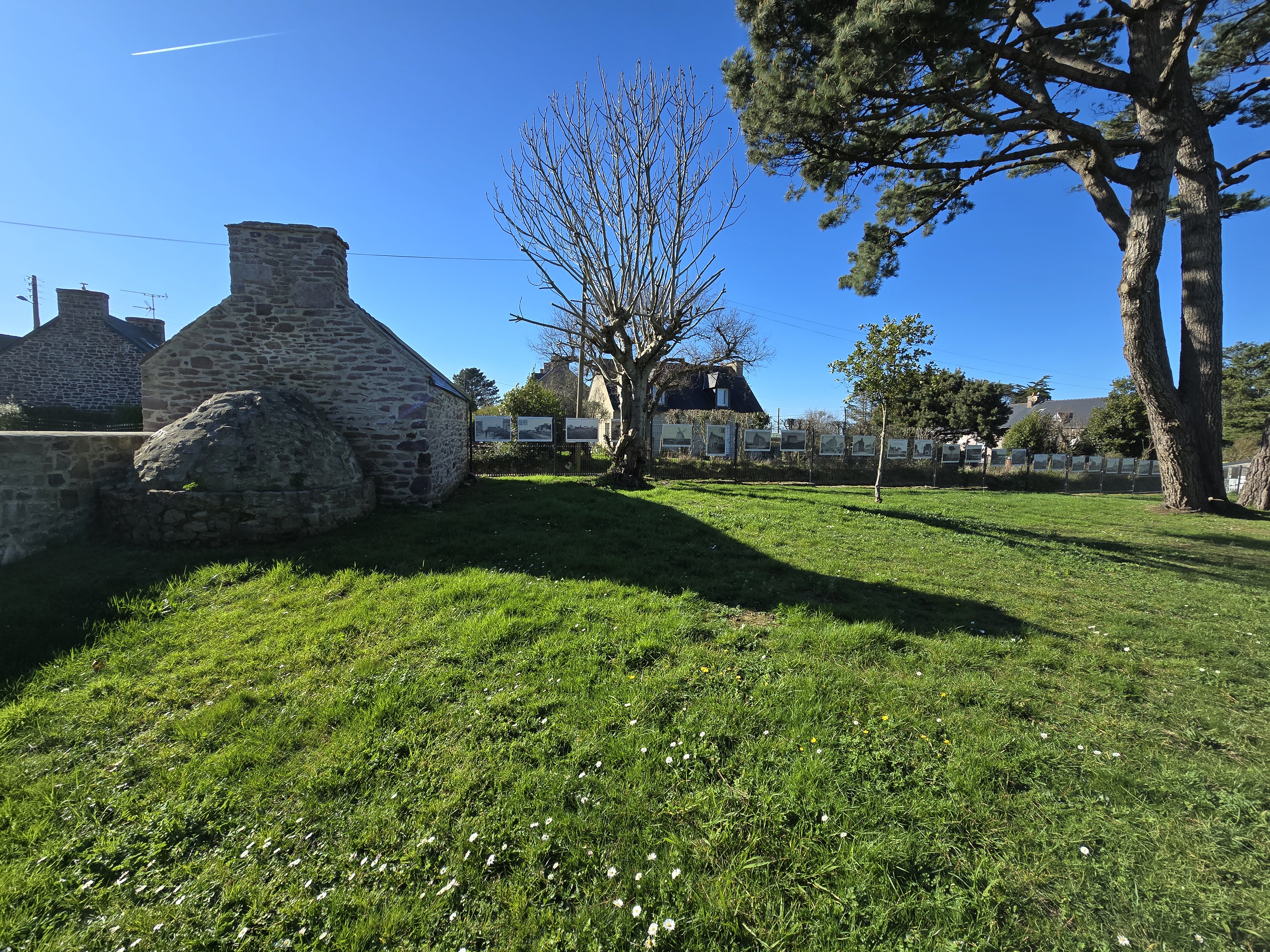 Jardin hyacinthe 4.jpg