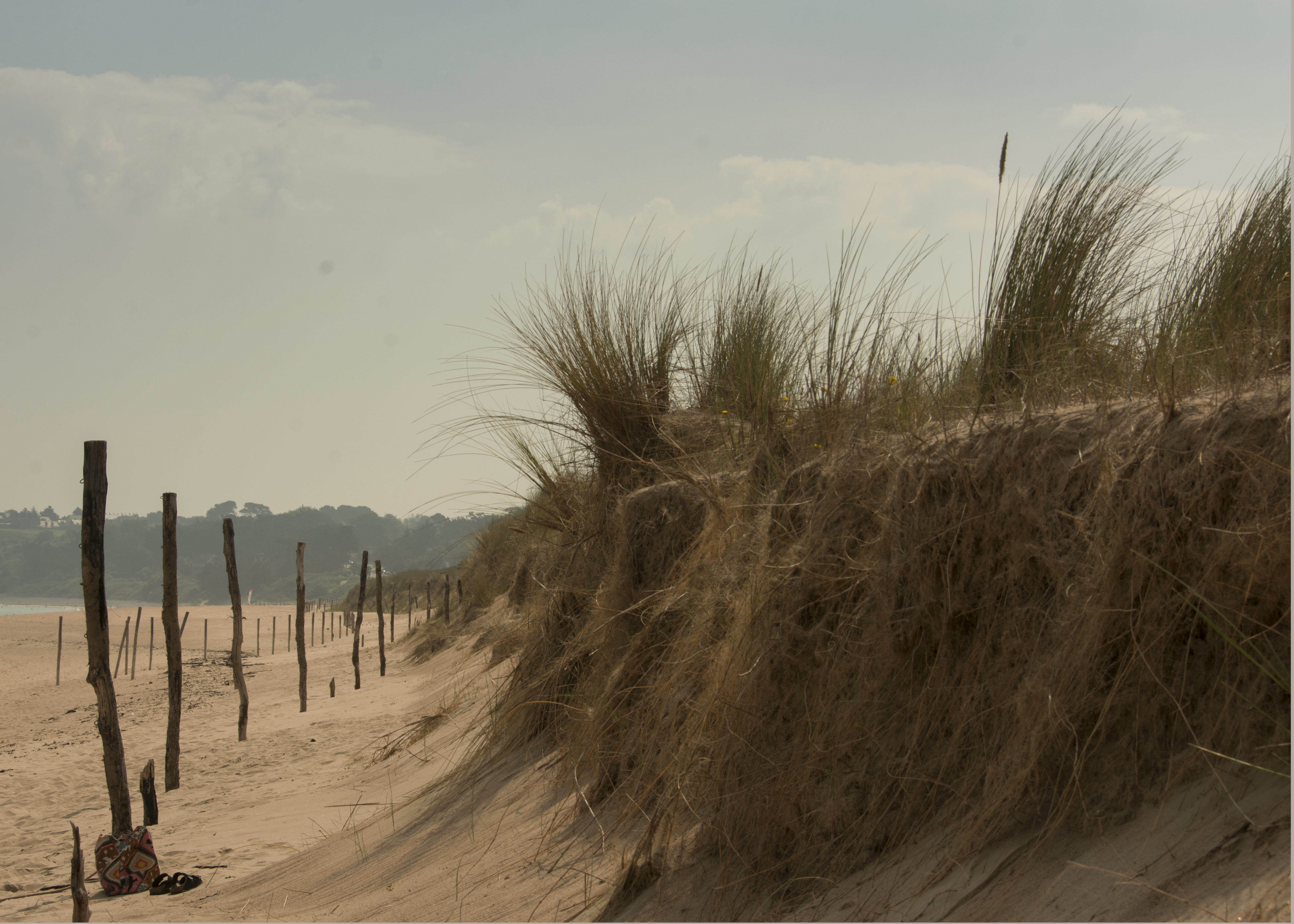 tardif_dunes echevelées_pres  du lac_ les sables d_or.jpg