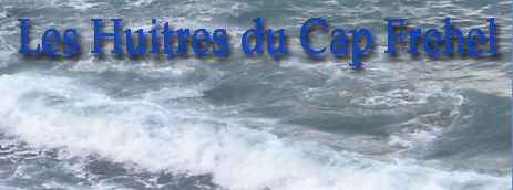 huitres_cap_frehel.png