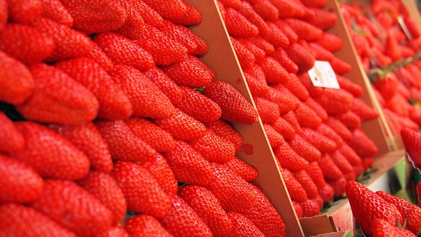 marché1.jpg