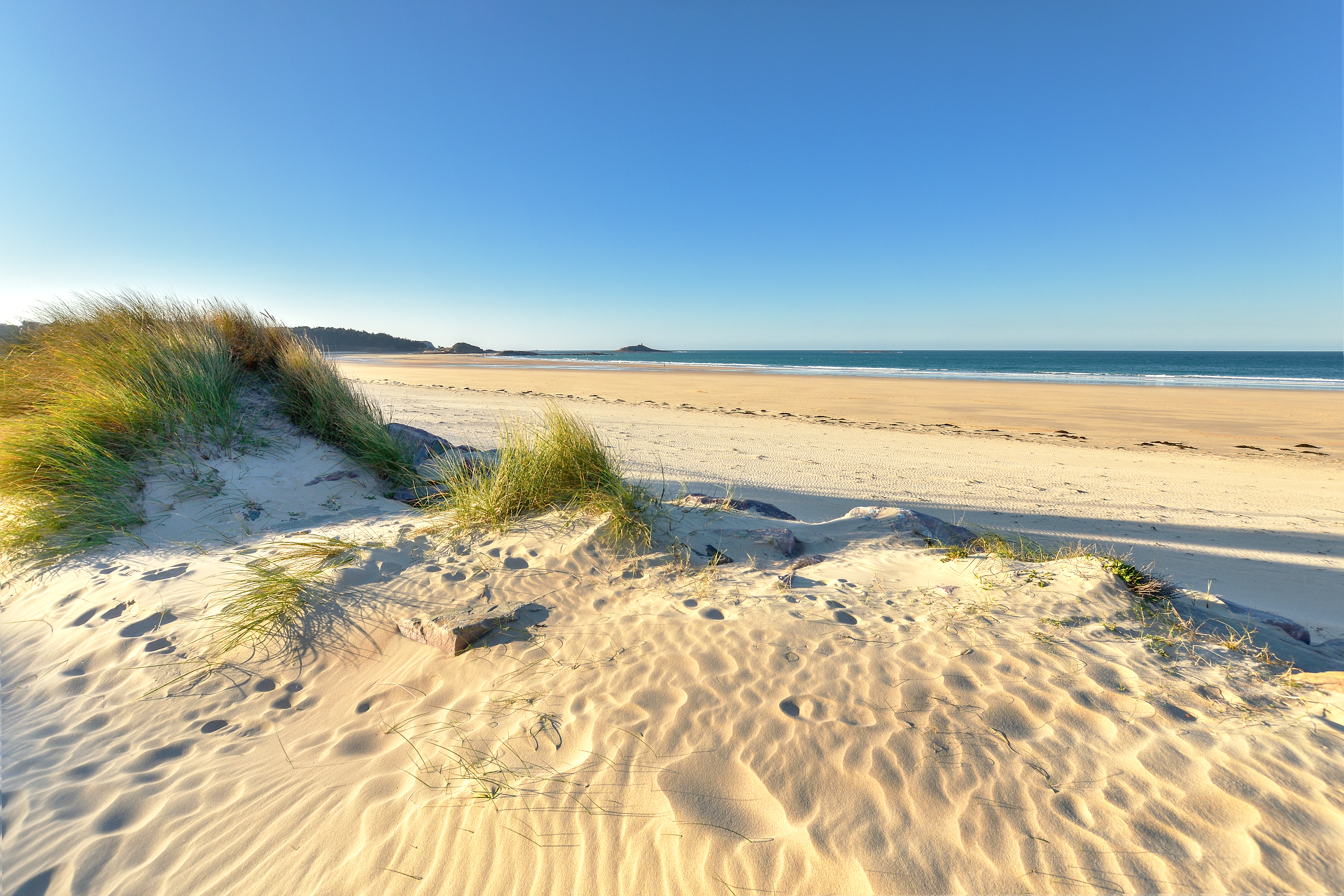 guilloux_près des dunes.jpg