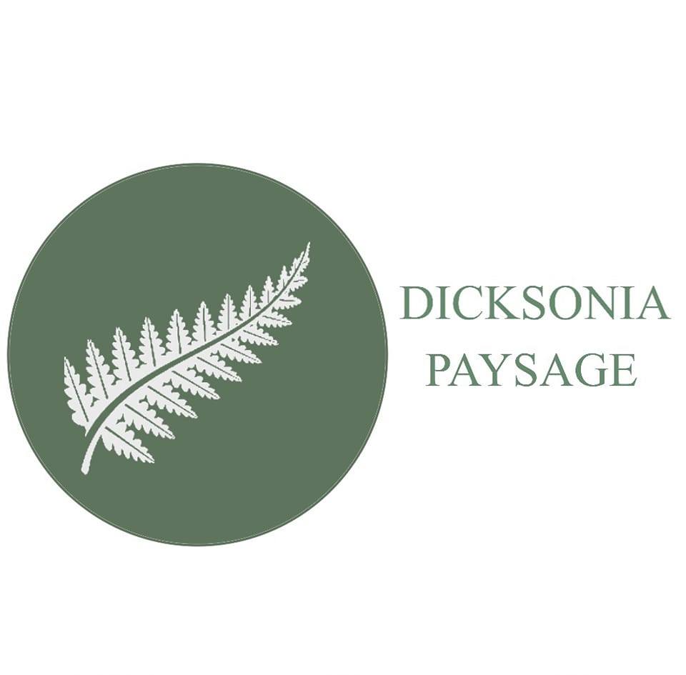 dicksonia.jpg