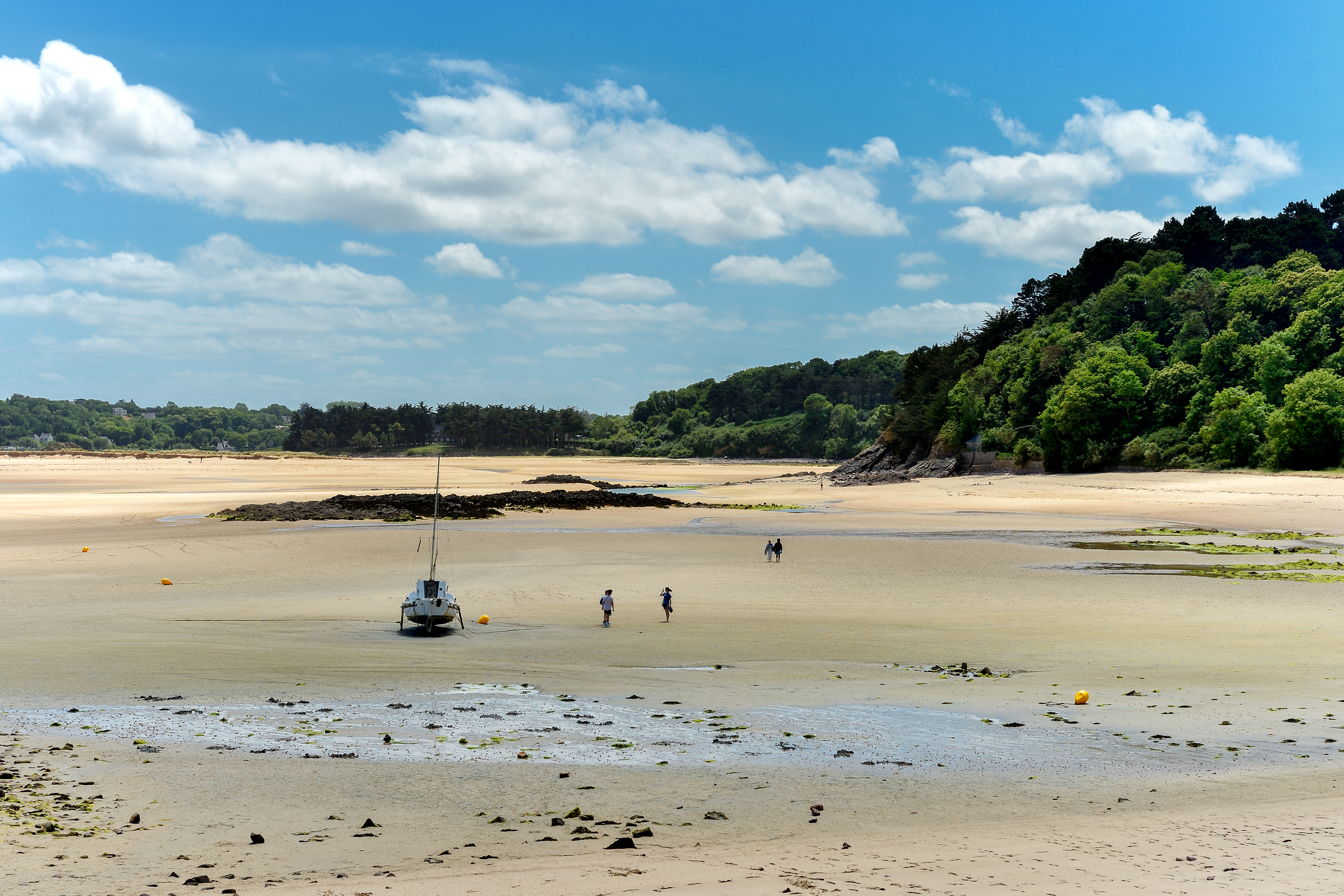 guilloux_balade dans l-estuaire.jpg