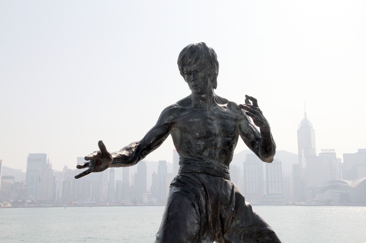 bruce-lee-2644599_1280.jpg
