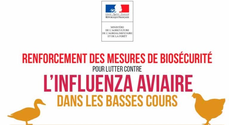 Influenza aviaire 2021.jpg