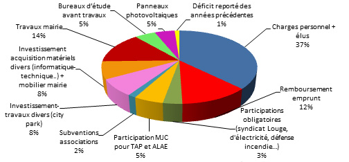 2015 Dépenses.jpg
