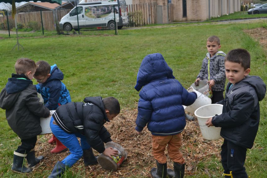 Ecole - Plantations terrain