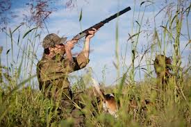 Logo Chasse
