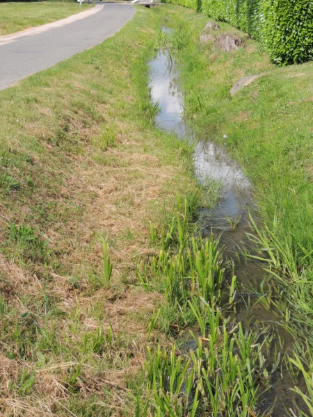 Fossés ruisseaux 1.jpg