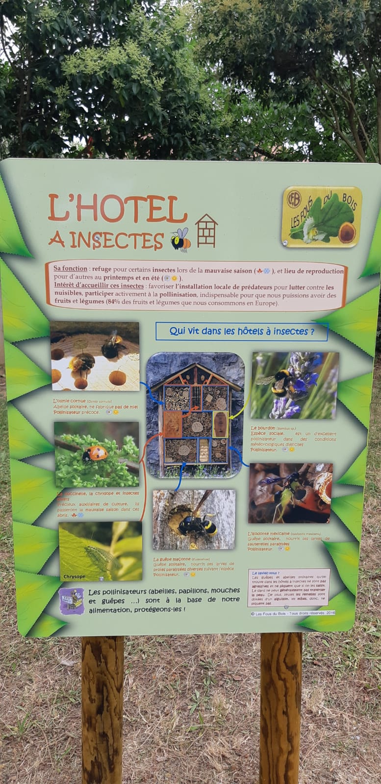 Hotels à insectes _13_.jpg