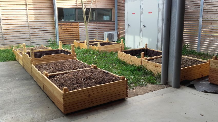 Ecole - Potager 2.jpg