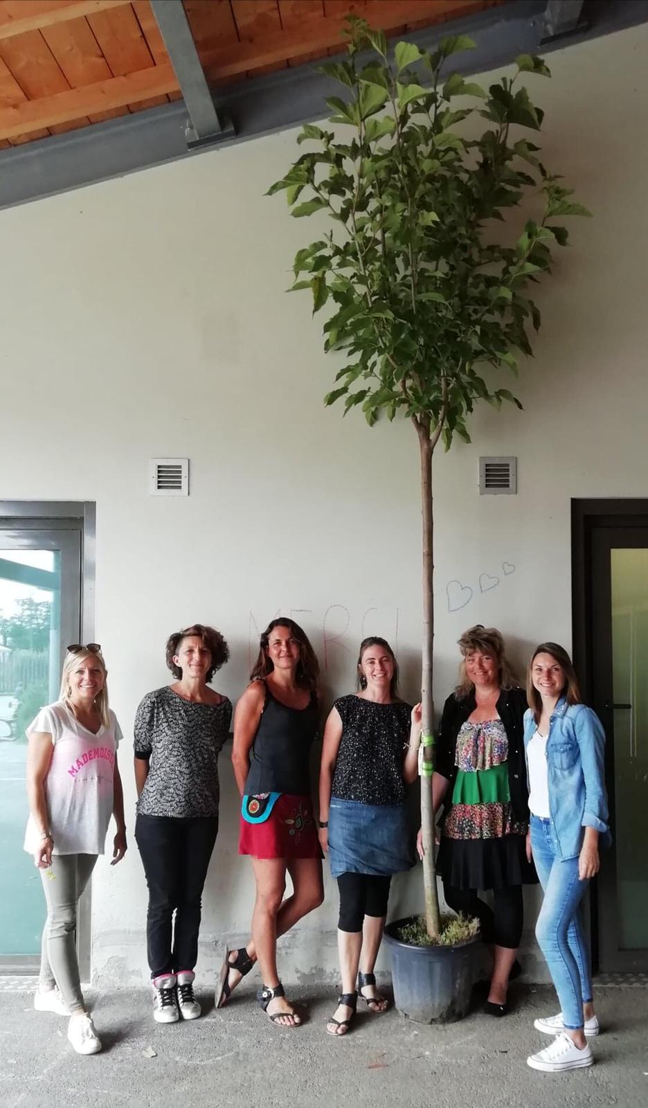 Ecole - Arbre pour les maternelles