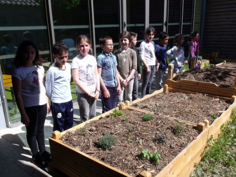 Ecole - Potager 1.jpg